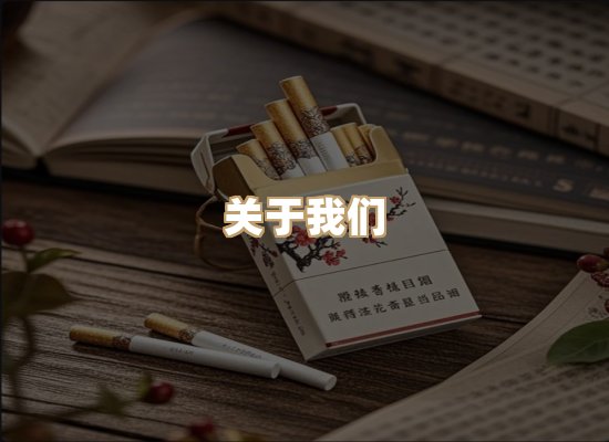关于云歌烟网
